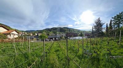 AUSSICHT & LEBENSQUALITÄT - Grundstück Bühlertal | Angebot:26207211