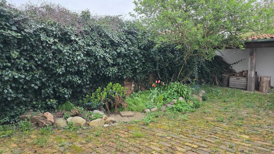 Reihenhaus Usedom - 4 Zimmer, 125 m&sup2;, 280.000&euro; | Angebot:26874908