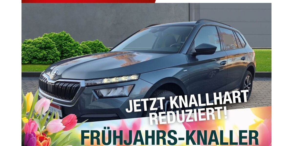 Skoda Kamiq 65.800 km 20.770 &euro; Marktredwitz 95615