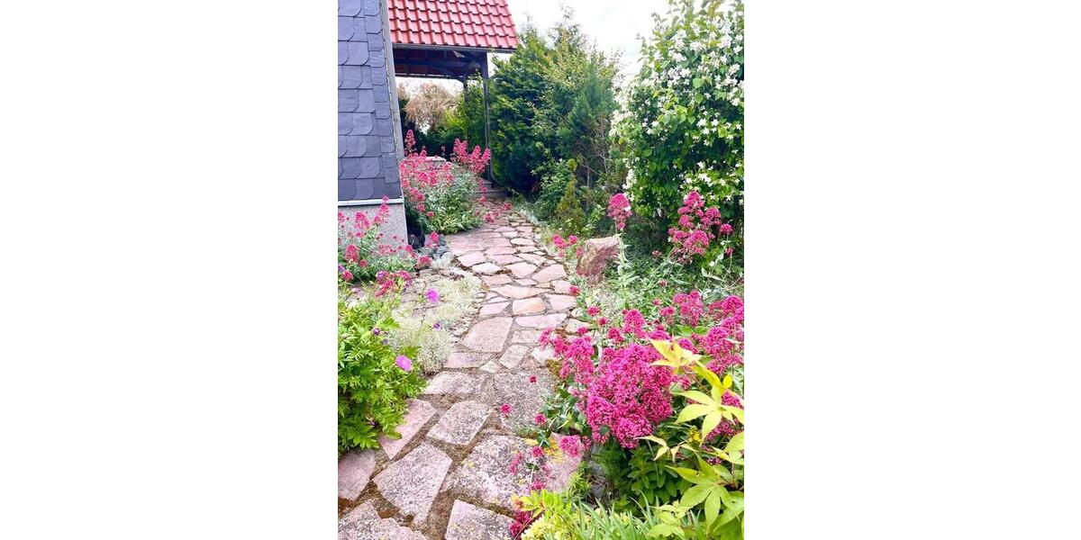 Mehrfamilienhaus, Wohnhaus Wernigerode - 8 Zimmer, 222 m&sup2;, 795.000&euro; | Angebot:26413278