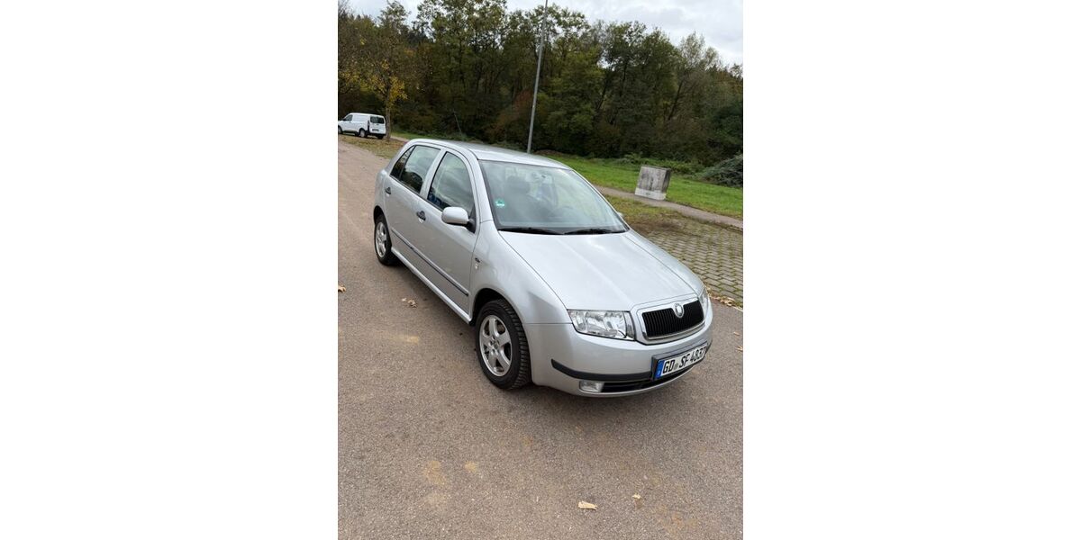 Skoda Fabia 164.000 km 2.700 € Lorch 73547