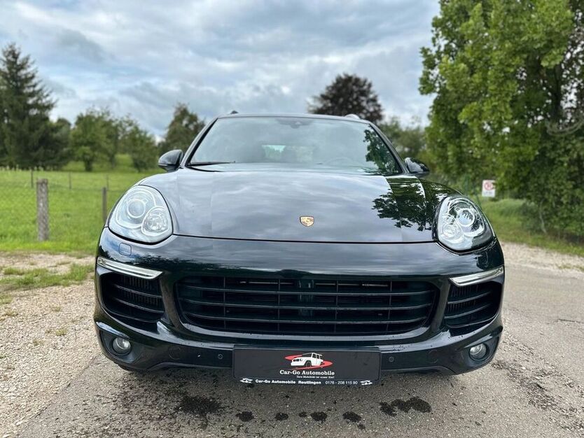 Cayenne