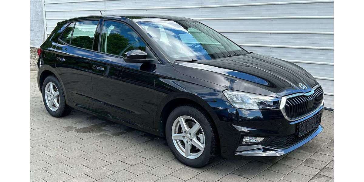 Skoda Fabia 12.500 km 20.290 &euro; Appenweier 77767