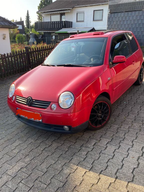 Lupo