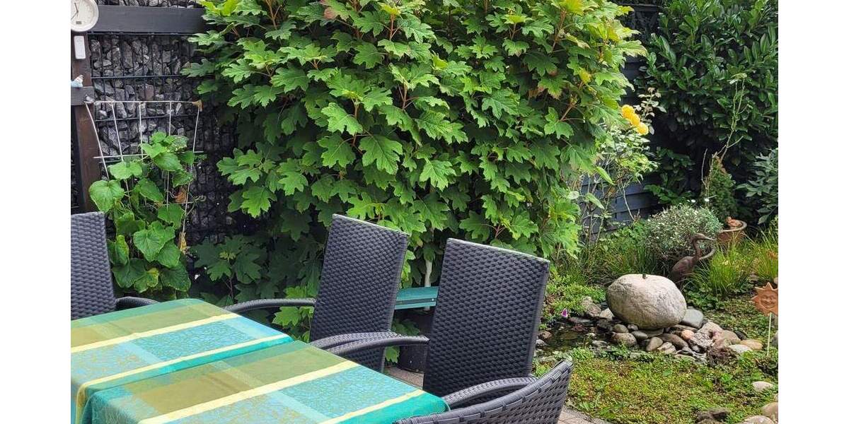 Doppelhaushälfte Herne Röhlinghausen - 4 Zimmer, 119 m&sup2;, 410.000&euro; | Angebot:22431505