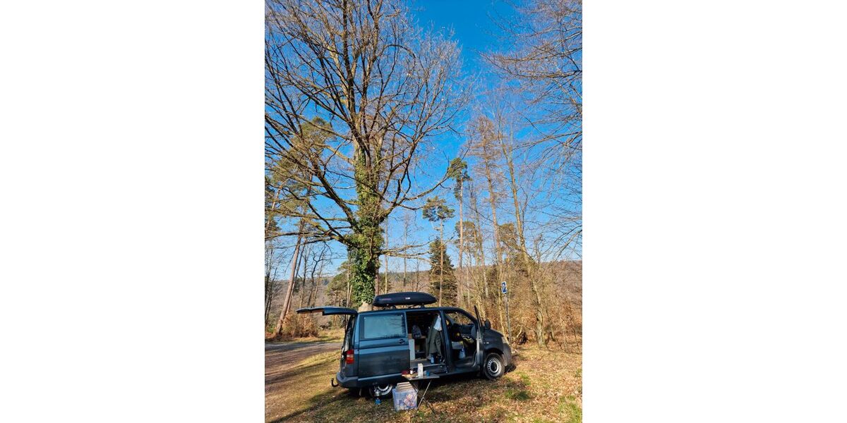 VW T5 Transporter 260.000 km 8.450 &euro; Trippstadt 67705