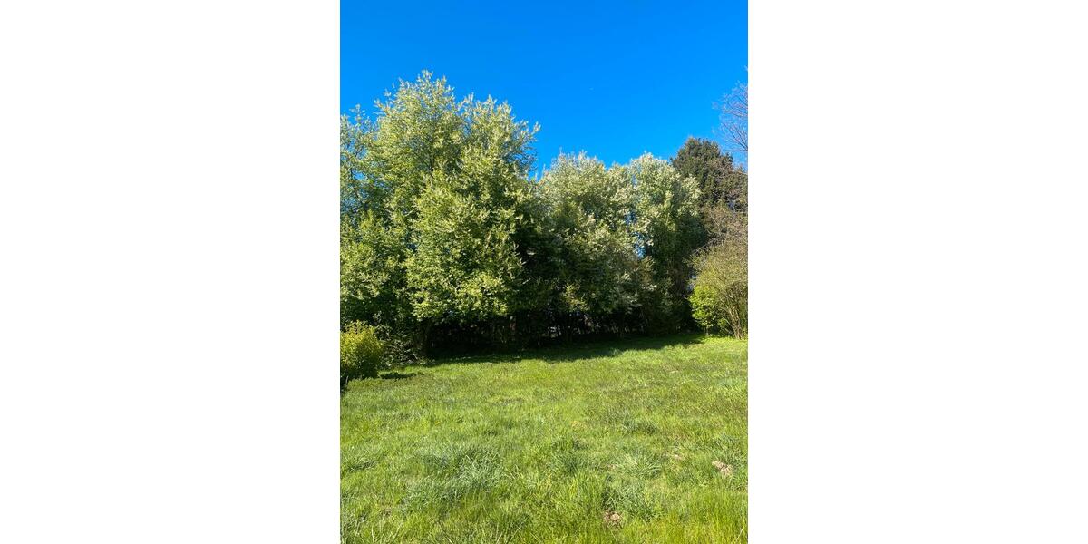 Einfamilienhaus Hof - 3 Zimmer, 85 m&sup2;, 950&euro; | Angebot:26323066