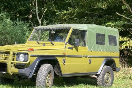 Mercedes-Benz G 270 60.000 km 69.500 &euro; Kaisersesch 56754