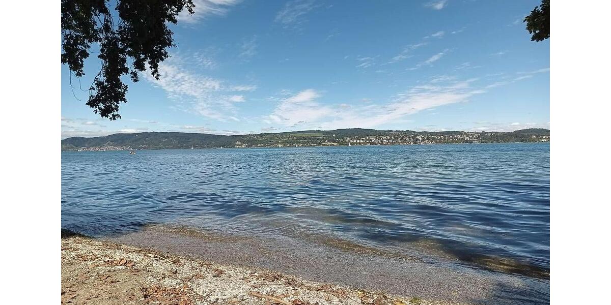 Erdgeschoßwohnung Konstanz Dettingen-Wallhausen - 1.5 Zimmer, 38 m&sup2;, 942&euro; | Angebot:25369645