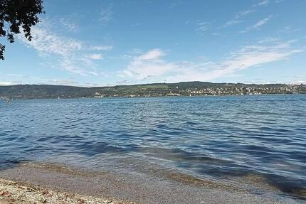 Wohnung Konstanz Dettingen-Wallhausen - 1.5 Zimmer, 38 m&sup2;, 942&euro; | Angebot:25369645