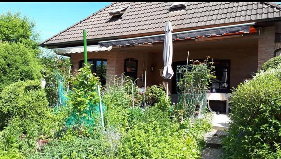 Bungalow Georgsmarienhütte 4 zimmer