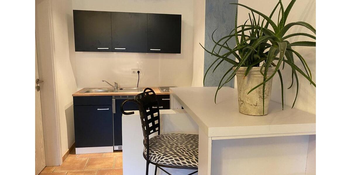 Erdgeschoßwohnung Alzenau - 1 Zimmer, 30 m&sup2;, 500&euro; | Angebot:24739388