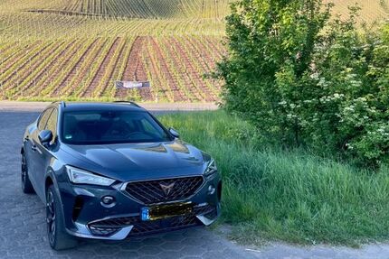 Cupra Formentor 37.500 km 28.650 &euro; Niersbach 54518