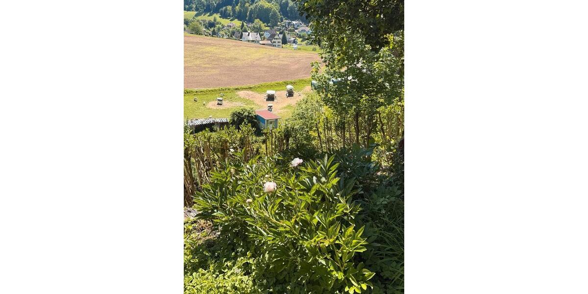Einfamilienhaus Ettenheim - 600.000&euro; | Angebot:26777663
