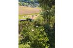 Einfamilienhaus Ettenheim - 600.000&euro; | Angebot:26777663