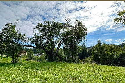 Grundstück Landshut Berg - 600.000&euro; | Angebot:23943523