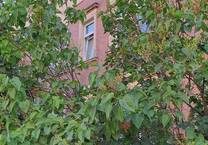 Nachmietersuche - helle 3 Raum Wohnung im Dachgeschoss mit sehr schönem Grundriss und WG geeignet