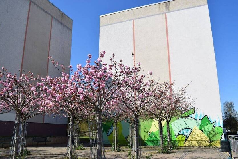 Familiennest sucht neue Bewohner