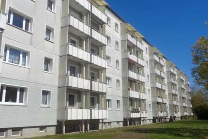 Wohnung zum Mieten in Anklam 350,56 € 50.08 m² 2 zimmer