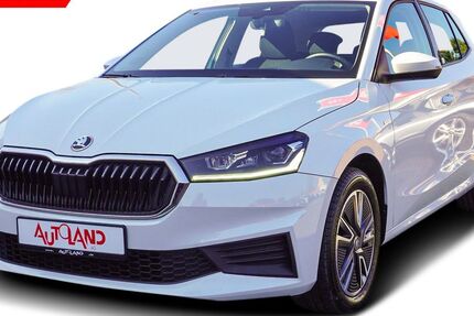 Skoda Fabia 18.787 km 17.950 &euro; Magdeburg 39118