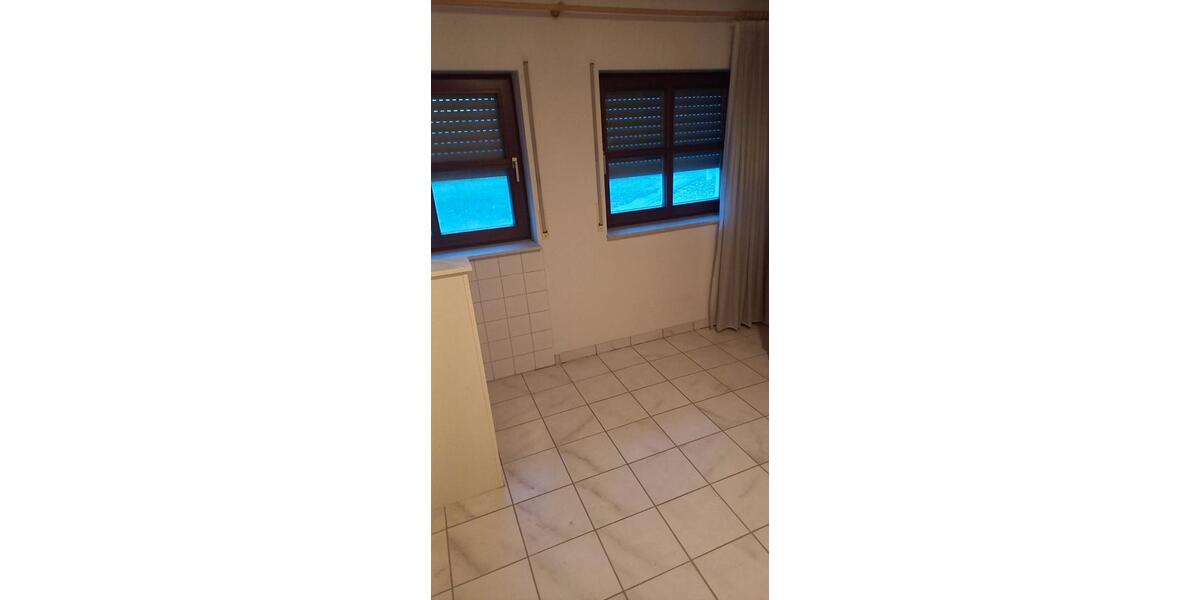 Gewerbeobjekt Rheinau - 100&euro; | Angebot:26185799