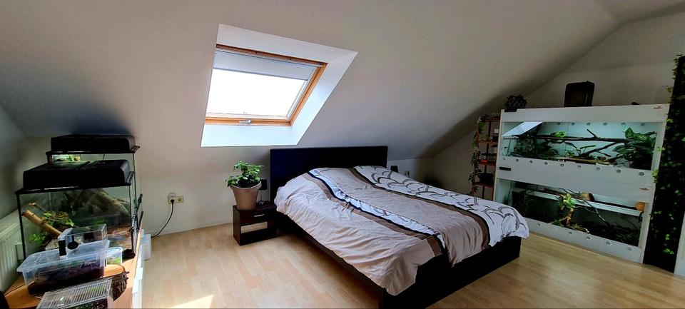 Maisonettenwohnung Ludwigshafen am Rhein Ludwigshafen-Oggersheim - 4 Zimmer, 102 m&sup2;, 310.000&euro; | Angebot:25992425