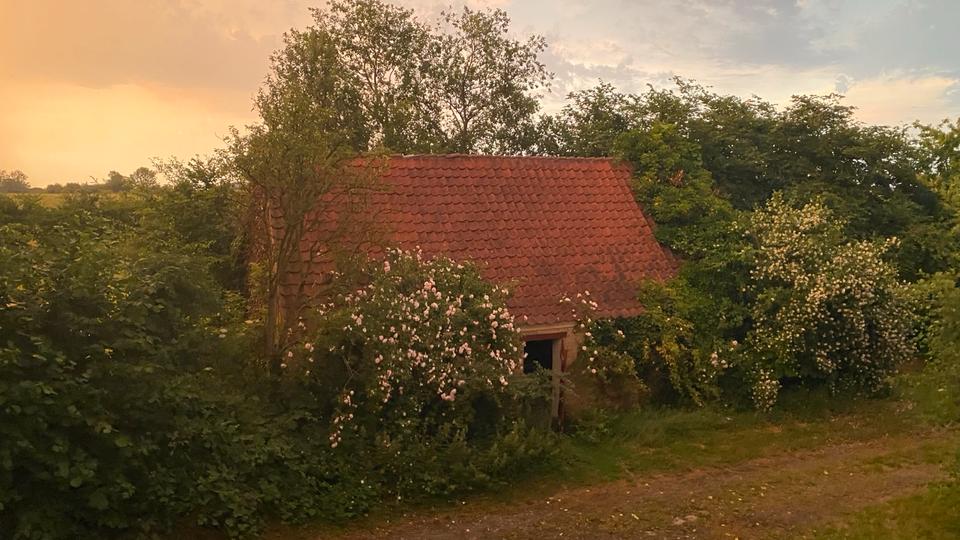 Bauernhaus, Landhaus Harrislee - 7 Zimmer, 240 m&sup2;, 208.000&euro; | Angebot:27156719