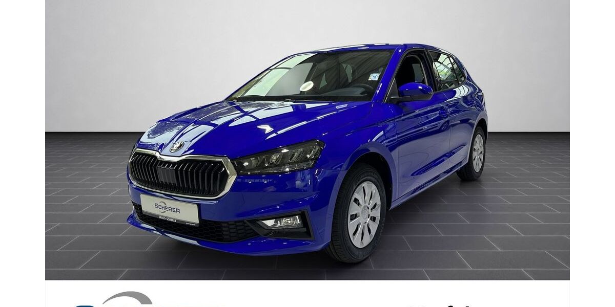 Skoda Fabia 3.000 km 18.040 &euro; Mannheim 68167