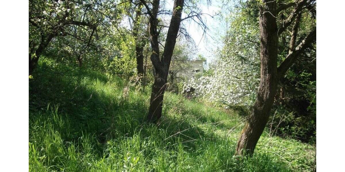 Grundstück Bad Blankenburg - 45.000&euro; | Angebot:25732454