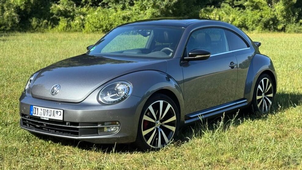 Beetle