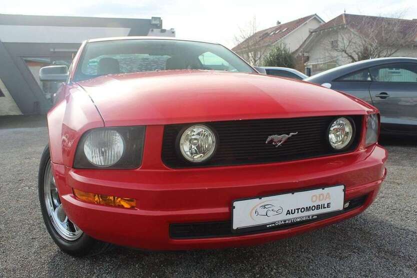 Mustang