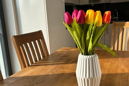 Wohnung Samtens - 2 Zimmer, 75 m&sup2;, 1.700&euro; | Angebot:25483767