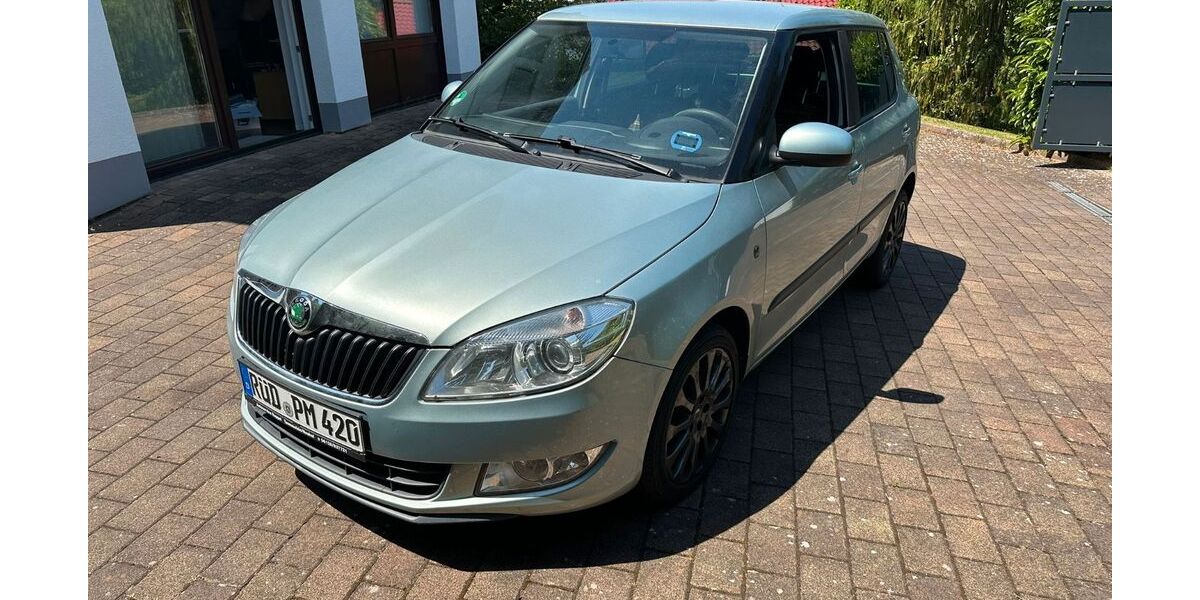 Skoda Fabia 141.600 km 5.500 &euro; Niedernhausen 65527