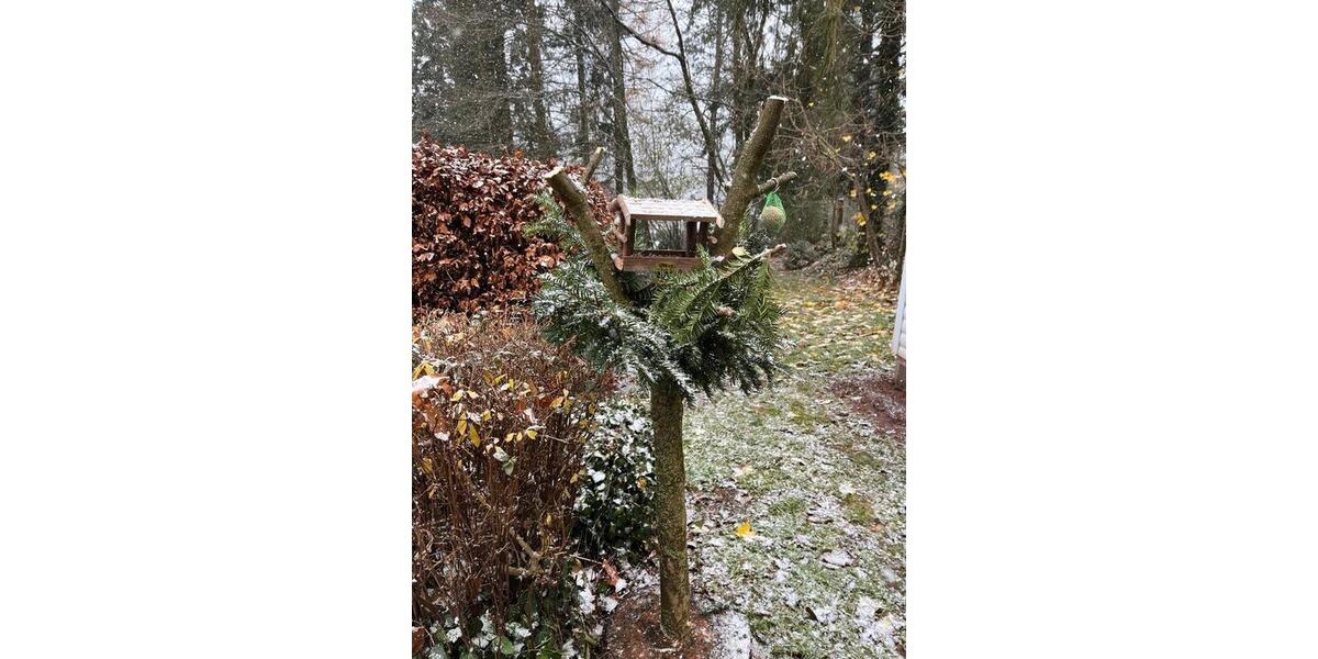 Ferienimmobilie Gotha - 100&euro; | Angebot:20046870