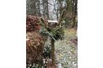 Ferienimmobilie Gotha - 100&euro; | Angebot:20046870