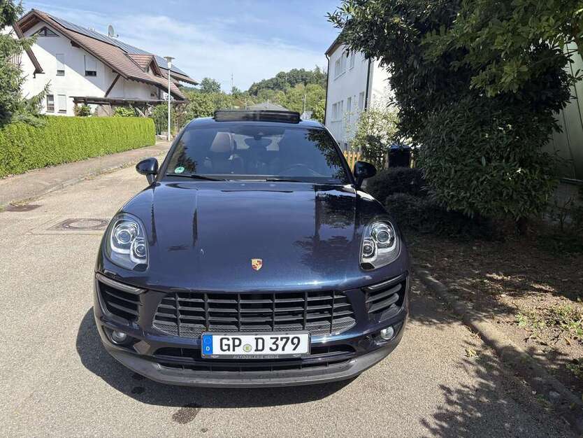 Macan