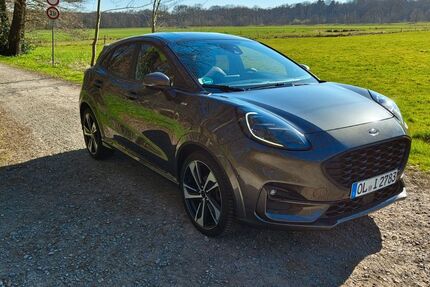 Ford Puma 99.000 km 14.400 € Wildeshausen 27793