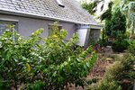 Pollitz, EFH + Nebenge. - Einfamilienhaus Pollitz Wahrenberg | Angebot:18871761
