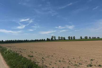 Grundstück zu verkaufen in Blaustein 120.000 € 15586 m² zimmer