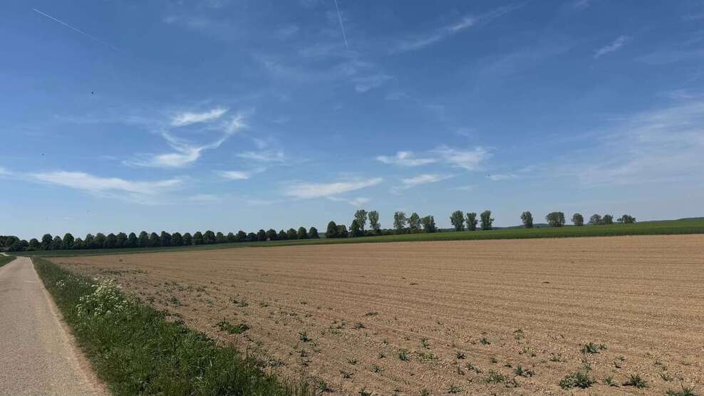 Grundstück zu verkaufen in Blaustein 120.000 € 15586 m² zimmer