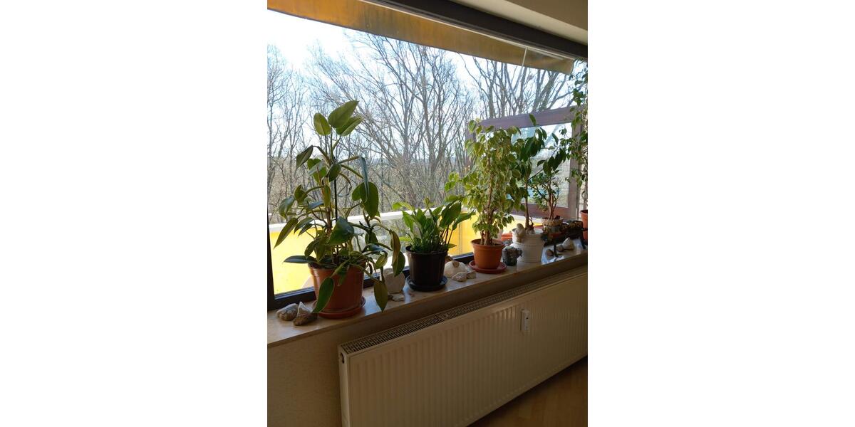 Etagenwohnung Wertheim - 3 Zimmer, 80 m&sup2;, 198.000&euro; | Angebot:27189974