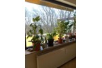 Etagenwohnung Wertheim - 3 Zimmer, 80 m&sup2;, 198.000&euro; | Angebot:27189974