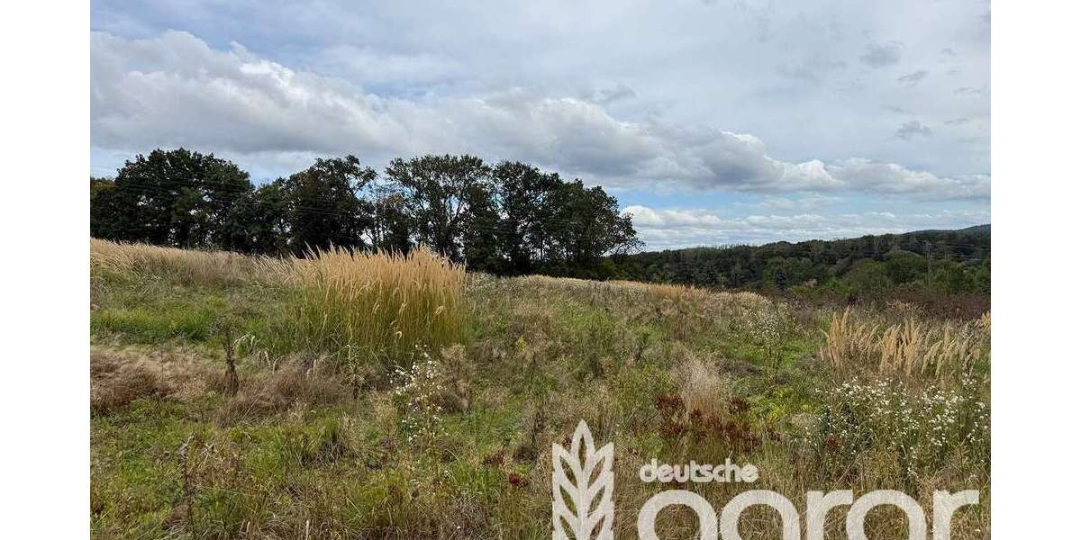 Grundstück Klipphausen / Gauernitz Gauernitz - 5.900&euro; | Angebot:24717420