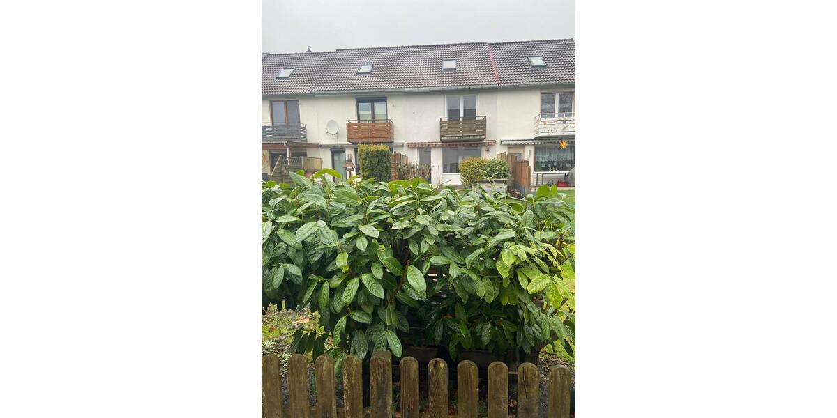 RH Flensburg westliche Höhe 4 Zi. vollunterkellert mit Garage 4 zimmer