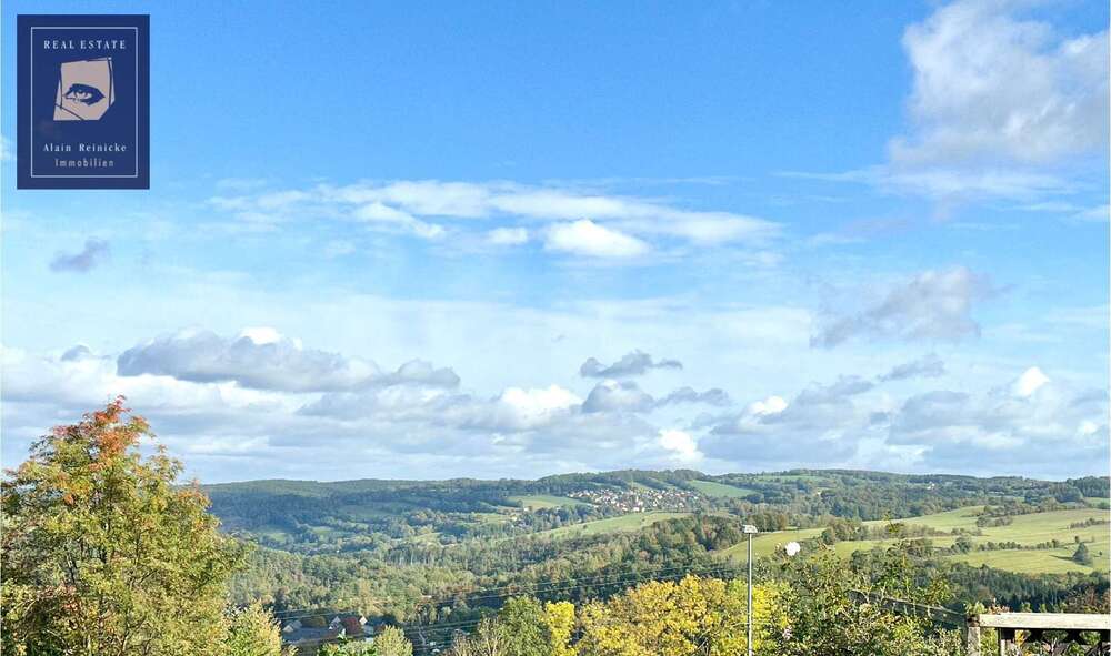Doppelhaushälfte mit einzigartiger Aussicht in Zschopau 5 zimmer
