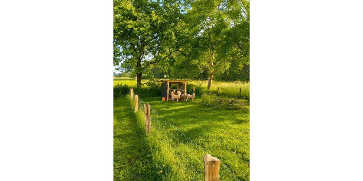 Einfamilienhaus Langenhorn - 649.000&euro; | Angebot:27004432