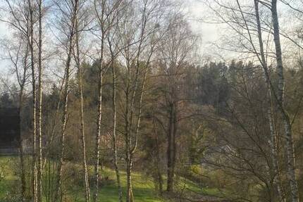 Grundstück Flossenbürg Altenhammer - 53.000&euro; | Angebot:22547384