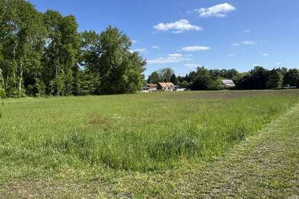 Grundstück Döbern - 120.000&euro; | Angebot:20916329