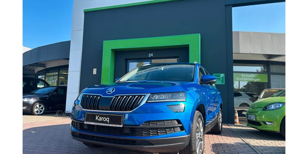 Skoda Karoq 54.000 km 23.900 &euro; Görlitz 02828