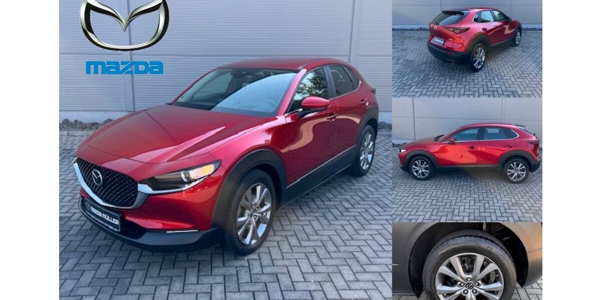 Mazda CX-30 48.181 km 18.790 &euro; Weißenfels 06667